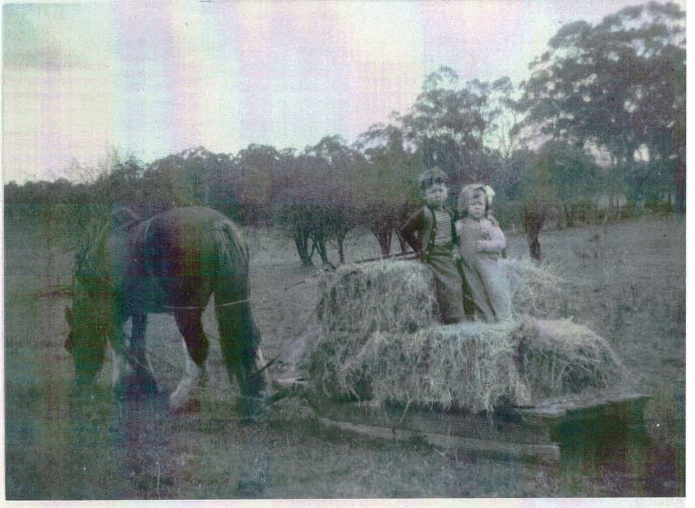 Terry and his cousin on the farm, 1956