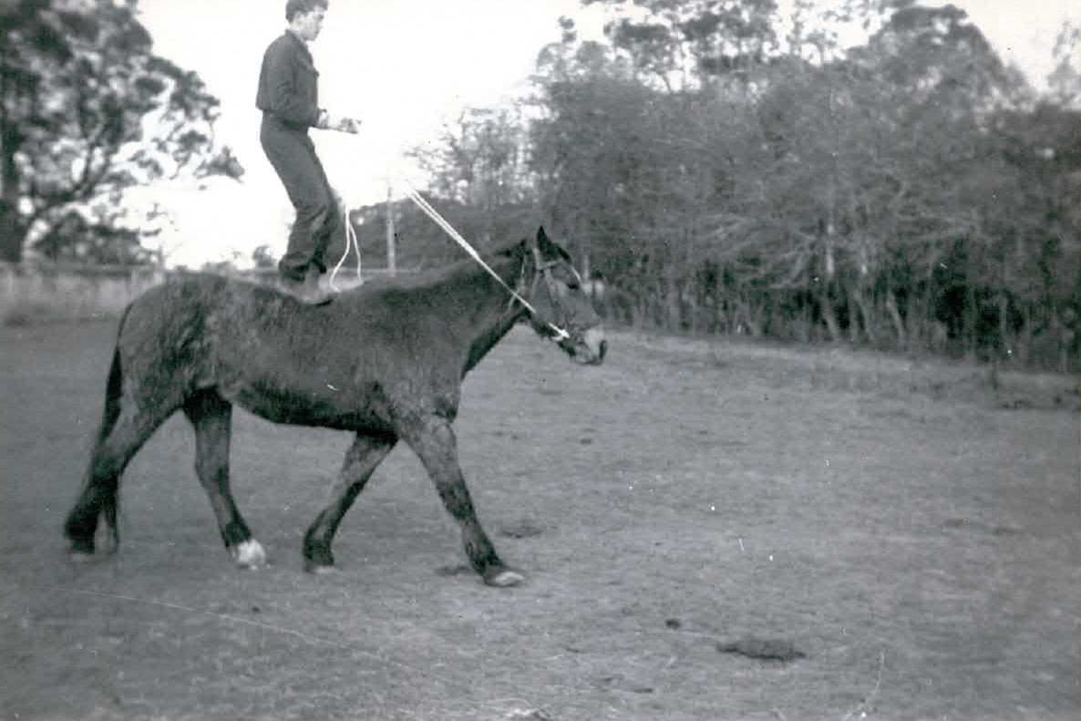 Terry standing on a horse